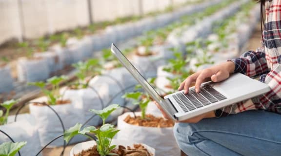 Agriculture Workflow Discovery