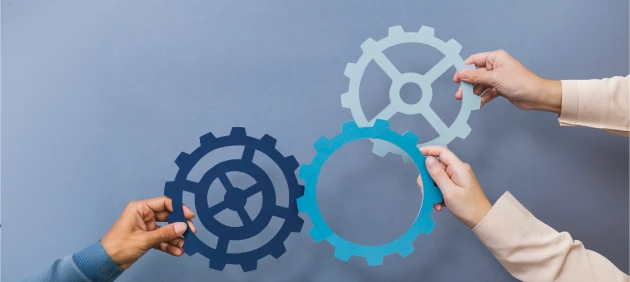 Maintenance & Continuous Development